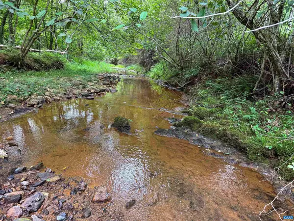 Esmont, VA 22937,TBA OLD GREEN MOUNTAIN RD #00500