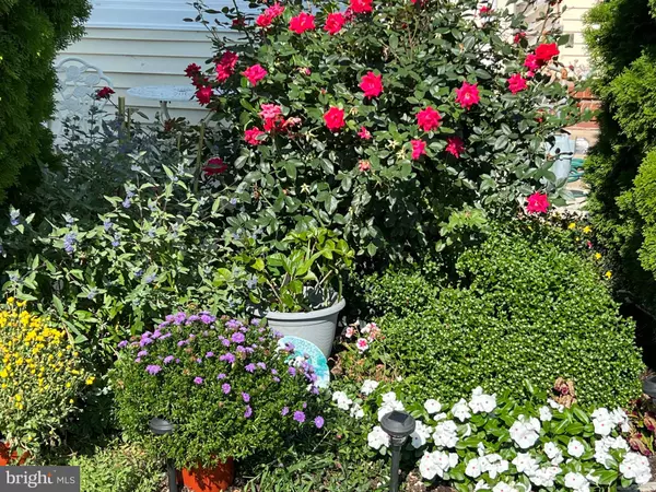 Baltimore, MD 21219,2409 WOODRIDGE RD