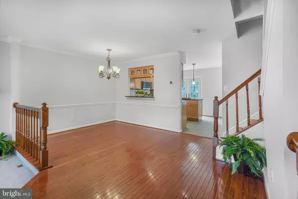 Alexandria, VA 22315,7228 LENSFIELD CT