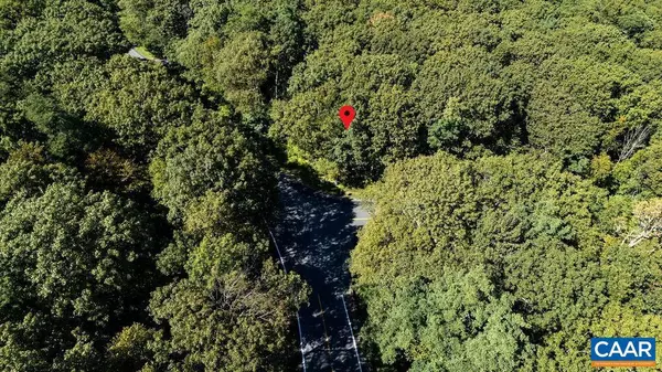 Wintergreen Resort, VA 22967,862 SHAMOKIN SPRINGS TRL