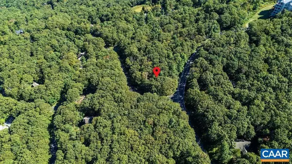 Wintergreen Resort, VA 22967,862 SHAMOKIN SPRINGS TRL