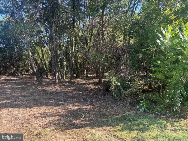 Smyrna, DE 19977,0 E SMYRNA LANDING RD