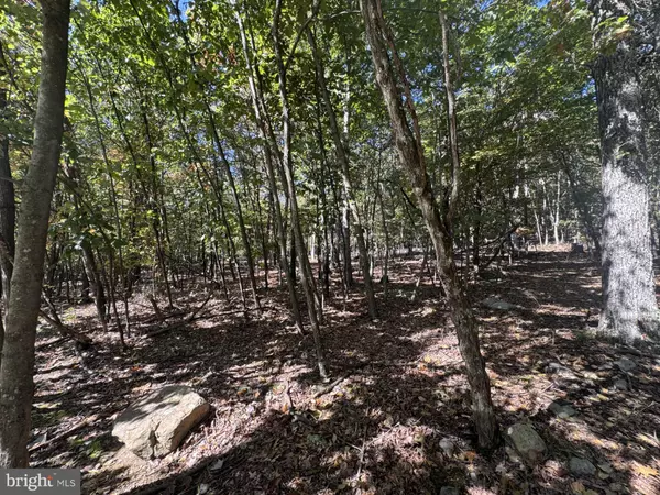 Berkeley Springs, WV 25411,LOT 13 PARKSIDE DR.