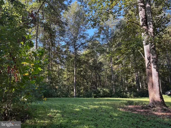 Madison, VA 22727,0 PINE TORCH