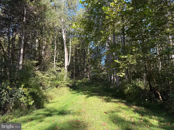 Madison, VA 22727,0 PINE TORCH