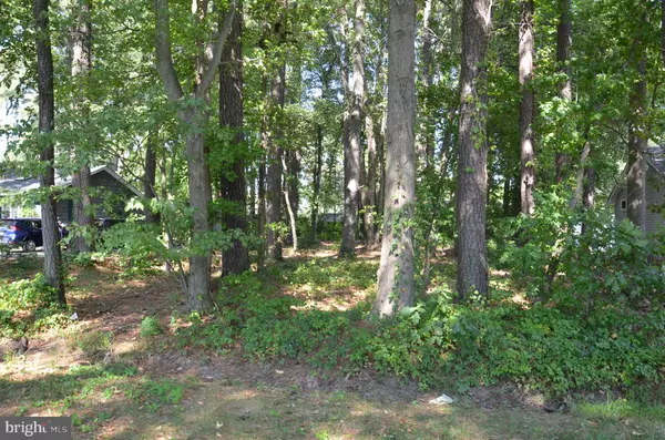 Saint Michaels, MD 21663,912 CALVERT AVE.