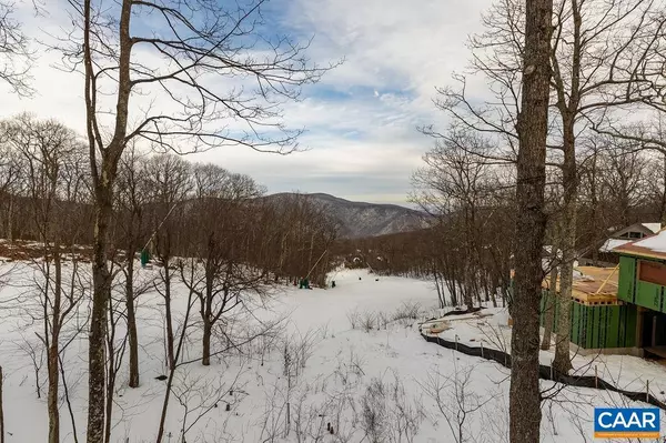 Wintergreen Resort, VA 22967,134 SQUIRREL TREE LN