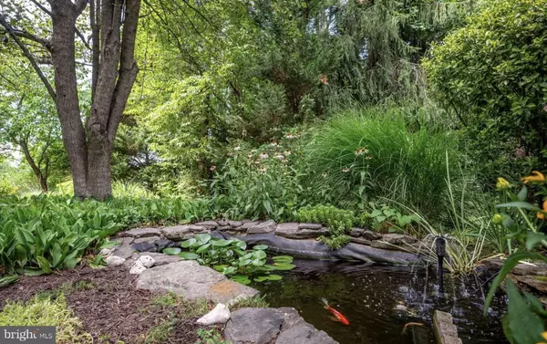 Partlow, VA 22534,6035 TOWLES MILL RD