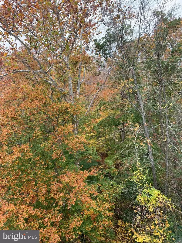 Bel Air, MD 21014,204-O CHAUCER LN #204-O