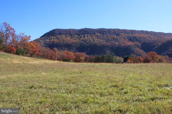 Strasburg, VA 22657,FRONT ROYAL RD