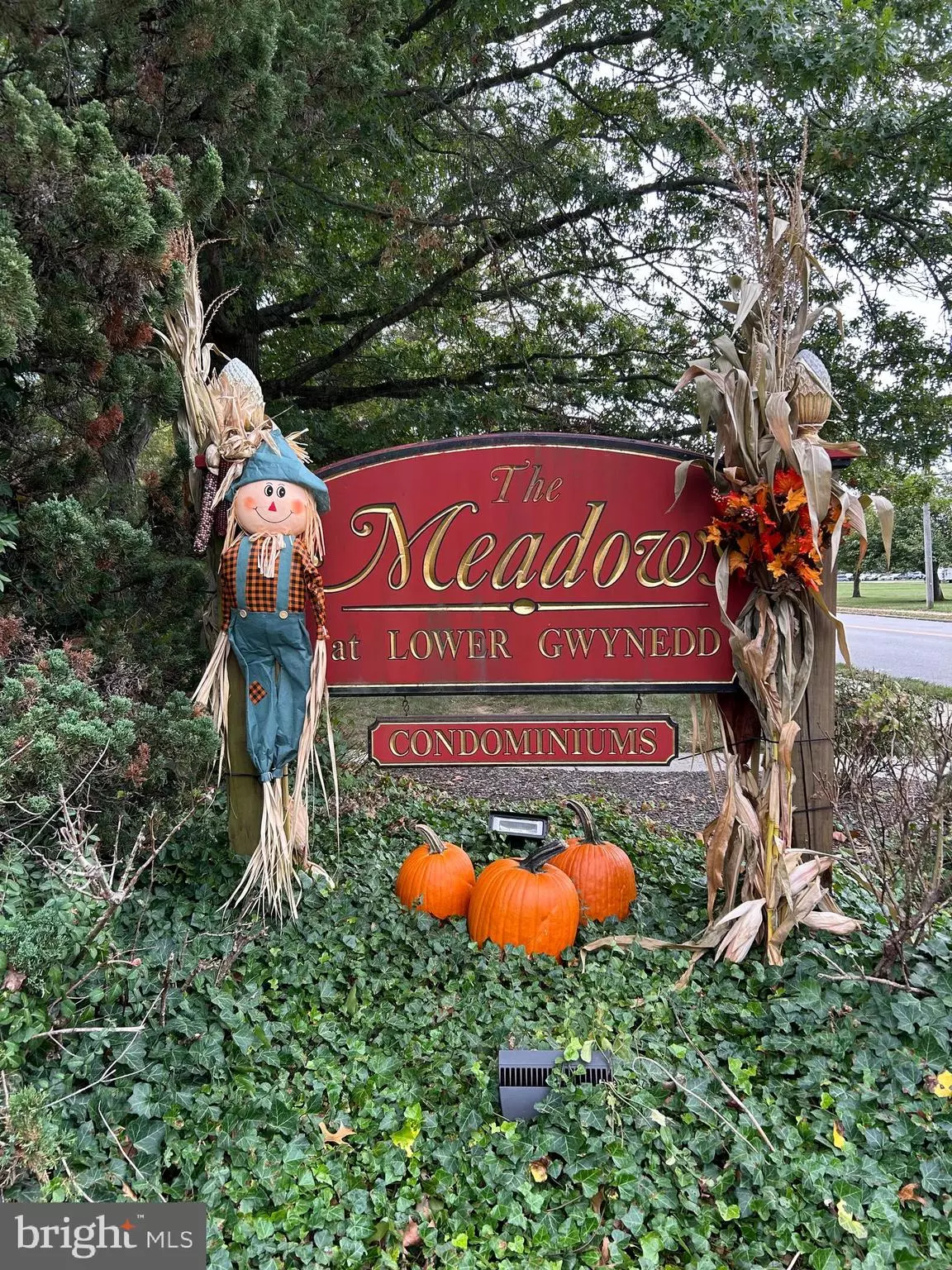 Ambler, PA 19002,501 N BETHLEHEM PIKE #13-B