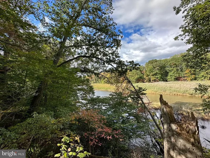 23628 CANVASBACK RD, Chestertown, MD 21620