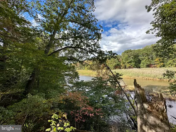 23628 CANVASBACK RD, Chestertown, MD 21620