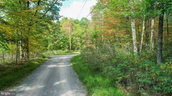 Oakland, MD 21550,LOTS 57 & 58 BLACK OAK DR