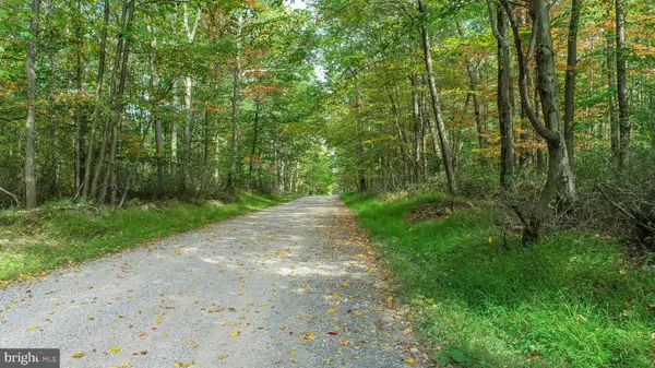 Oakland, MD 21550,LOTS 57 & 58 BLACK OAK DR