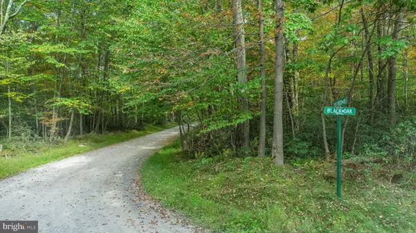 Oakland, MD 21550,LOTS 57 & 58 BLACK OAK DR