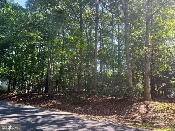 LOT 1996 MAYFLOWER DR, Greenbackville, VA 23356