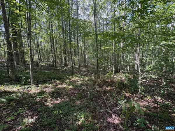 Haywood, VA 22722,PART OF TM 24-1 MITCHELL MOUNTAIN RD #PORTION OF TM 24-1