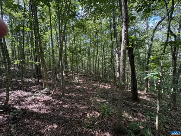 PART OF TM 24-1 MITCHELL MOUNTAIN RD #PORTION OF TM 24-1, Haywood, VA 22722
