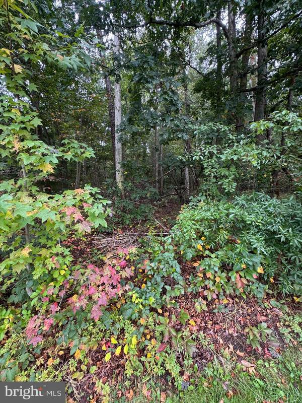 Pasadena, MD 21122,1635 WALL DRIVE