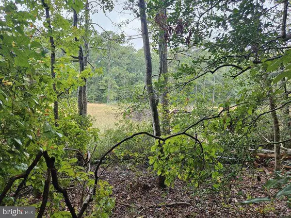 Lexington Park, MD 20653,LOT 8 SECTION C SPRING LAKE DR DR