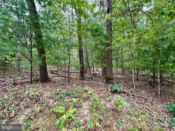 Westminster, MD 21157,SALEM BOTTOM RD