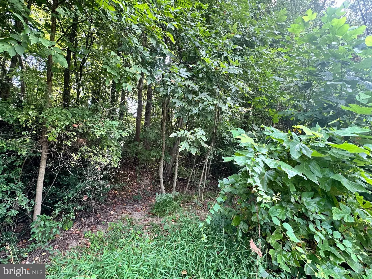 Elkton, MD 21921,1 ELIZABETH ST