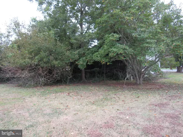 Crisfield, MD 21817,4211 JACKSONVILLE RD