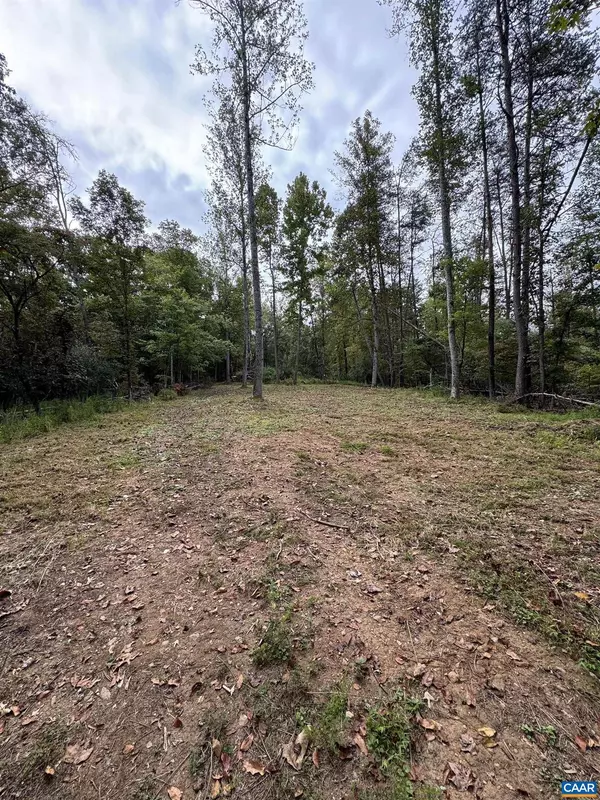 Batesville, VA 22924,2.39 ACRES PLANK RD