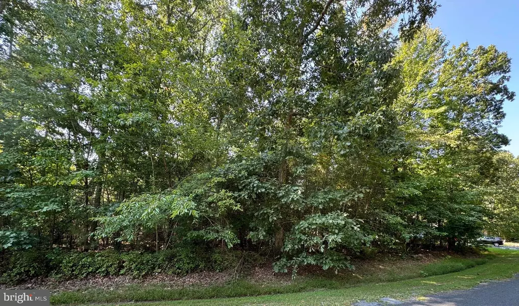 LOT 2067 MAYFLOWER DR, Greenbackville, VA 23356