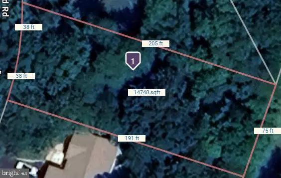 Locust Grove, VA 22508,203 BATTLEFIELD RD