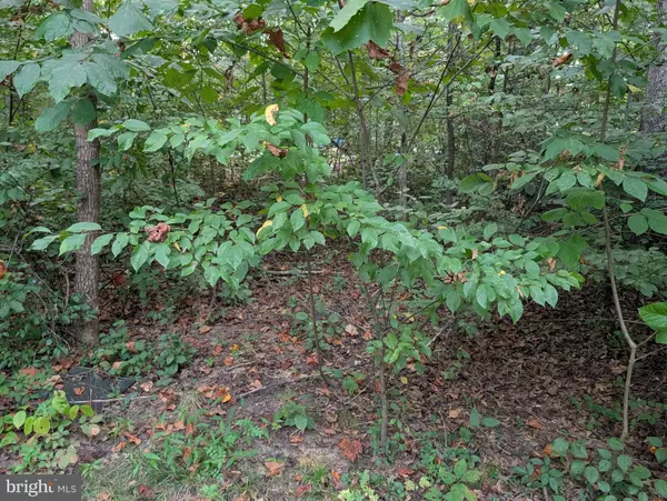 Locust Grove, VA 22508,203 BATTLEFIELD RD