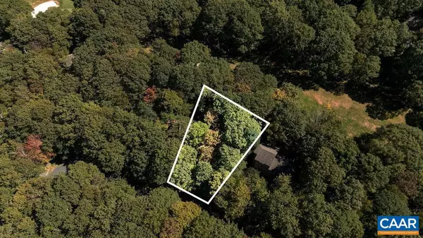 Wintergreen Resort, VA 22967,88 DEERBERRY LN #7