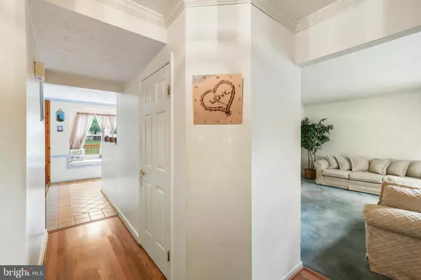 Burtonsville, MD 20866,4208 LEATHERWOOD TER