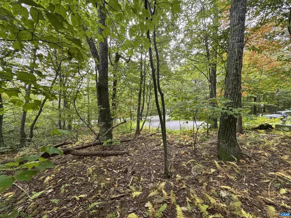 Wintergreen Resort, VA 22967,12 DRIPPING ROCK LN