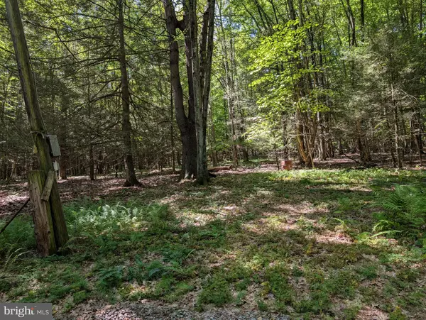 Benton, PA 17814,271 KEARKUFF RD