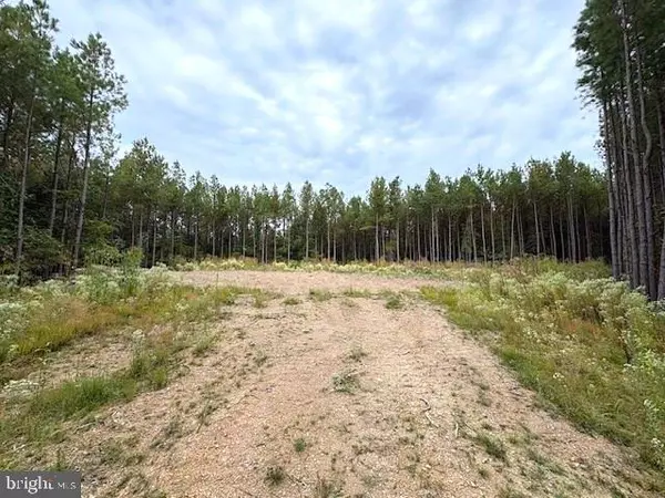 26.89 AC N. TEXAS RD, Delray, WV 26714