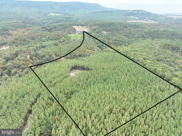 Delray, WV 26714,26.89 AC N. TEXAS RD