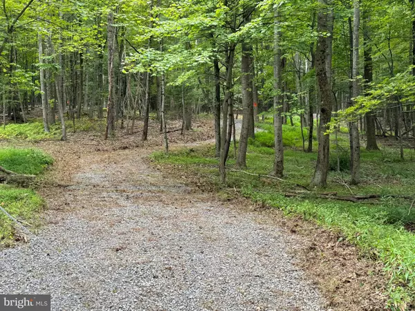 Mcconnellsburg, PA 17233,0 RAMSEY LN