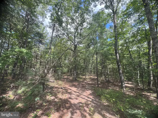 Mount Jackson, VA 22842,SUPINLICK RIDGE RD