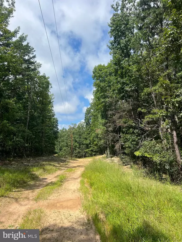 Mount Jackson, VA 22842,SUPINLICK RIDGE RD