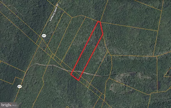 SUPINLICK RIDGE RD, Mount Jackson, VA 22842