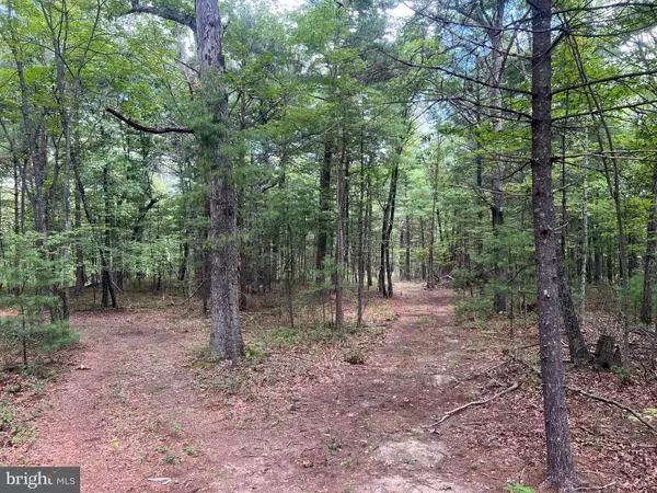 Mount Jackson, VA 22842,SUPINLICK RIDGE RD