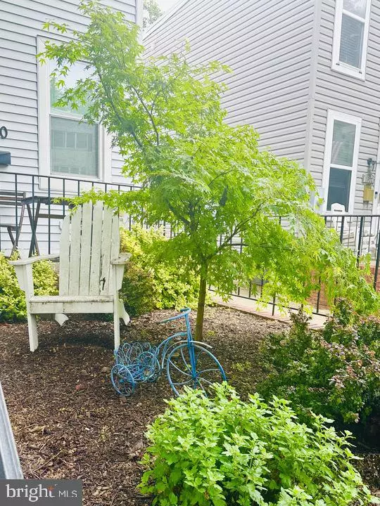 Washington, DC 20002,1520 CONSTITUTION AVE NE