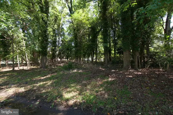 Fort Washington, MD 20744,12304 HATTON POINT RD