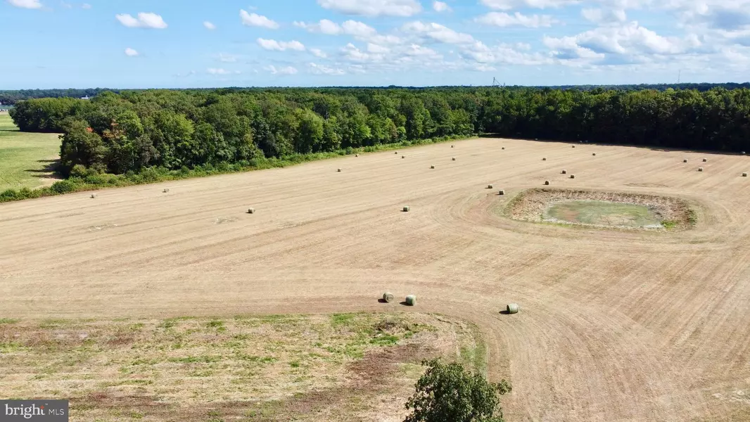 LOT 4 HOPKINS CEMETERY RD, Harrington, DE 19952
