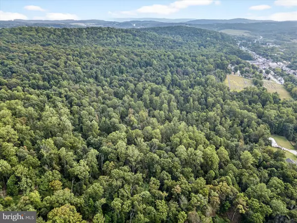 Adamstown, PA 19501,102 EVERGREEN RD