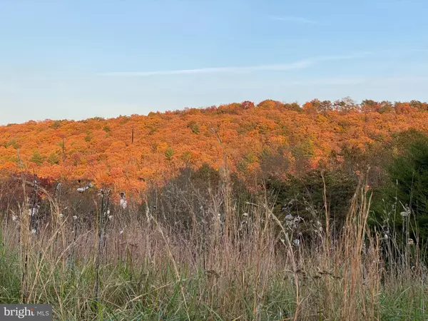 36.02 AC PARKER HOLLOW RD, Lost River, WV 26810