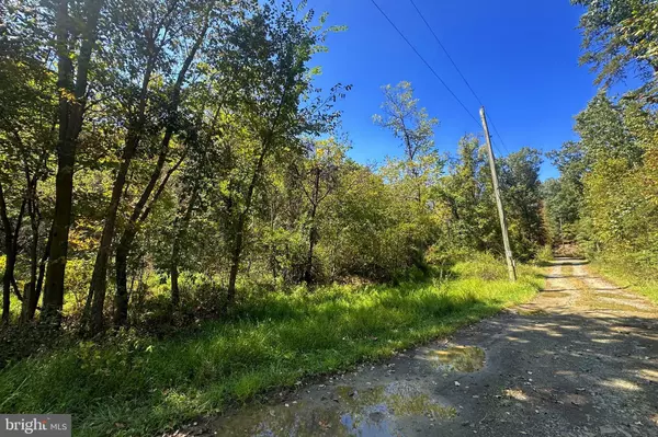 Falling Waters, WV 25419,LOTS 3 & 4 SHALE PIT DR