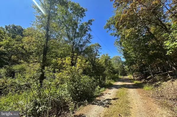 Falling Waters, WV 25419,LOTS 3 & 4 SHALE PIT DR